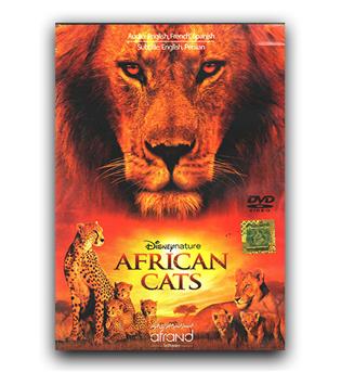 فیلم آموزشی African Cats