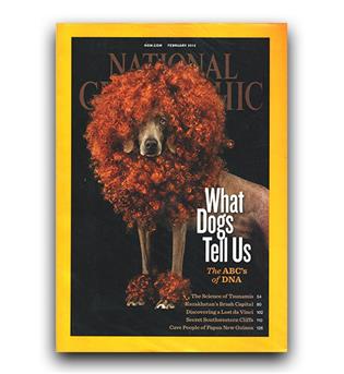 مجلات انگلیسی national geographic what dogs tell us (آنچه سگها به ما می گویند)