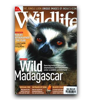 مجلات انگلیسی wildlife madagascar (ماداگاسکار)