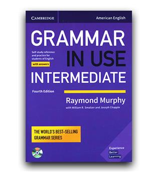 Grammar in Use Intermediate American English 4th