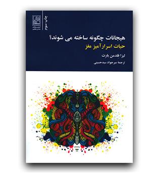 هیجانات چگونه ساخته می شوند