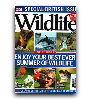 مجلات انگلیسی wildlife summer (تابستان)