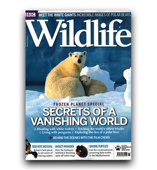 مجلات انگلیسی wildlife vanishing (ناپدید شدن)