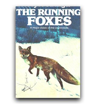 داستان انگلیسی running foxes