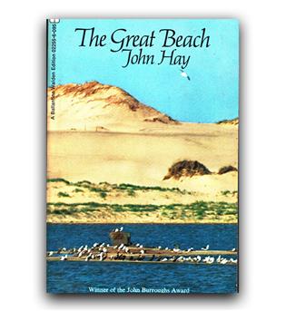 The Great Beach